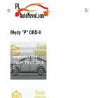 autonevodpl.com