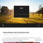 avainchicago.com