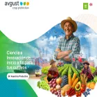 avgust.com.pe