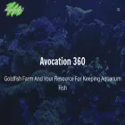 avocation360.com