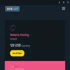 avsisp.com