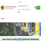 azhivesnorthamerica.com