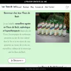 azur-fleursdebach.com