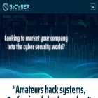 b2cyber.com