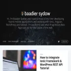 baadiersydow.com
