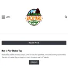 backyardbrilliant.com