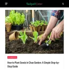 backyardcorner.com
