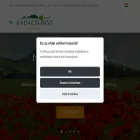 badacsony.com