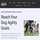 baddogagility.com