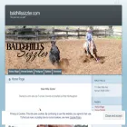 baldhillssizzler.com