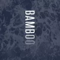 bamboosushi.com