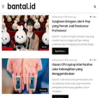 bantal.id