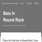 batsinroundrock.com