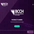 bcch.org.ar