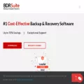 bdrsuite.com