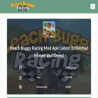beachbuggyracing.net