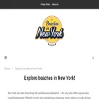 beachesinnewyork.com
