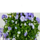 beautifulserendipity.com