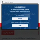beebenews.com