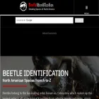 beetleidentification.org