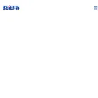 beierrecycling.com