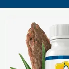 belly--flush.com