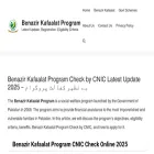 benazirkafaalat.com