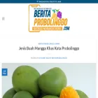 beritaprobolinggo.com