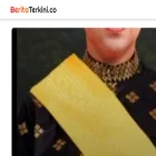 beritaterkini.co