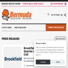 bermudaindustryinsider.com