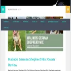 berneselove.com