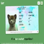 bersolcoin.com