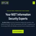 berylliuminfosec.com
