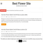 bestflowersite.co