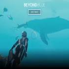 beyondbluegame.com