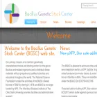 bgsc.org