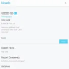 bicardo.com