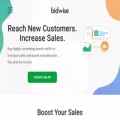 bidwise-intentads.com