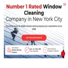 bigapplewindowcleaning.com
