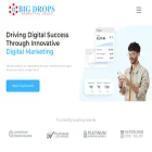 bigdropsmarketing.com