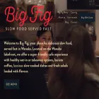 bigfig.co.nz