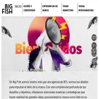 bigfishagencia.com