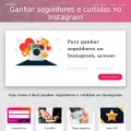 bigfollow.net