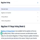 biggbossvotingtelugu.in