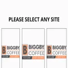biggbycoffeeicecube.com
