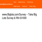 biglotscomsurvey.com