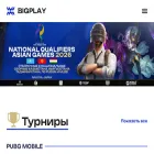 bigplay.gg