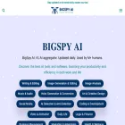 bigspyai.com