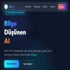 bilgeai.co