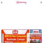 bilgikatalogu.com